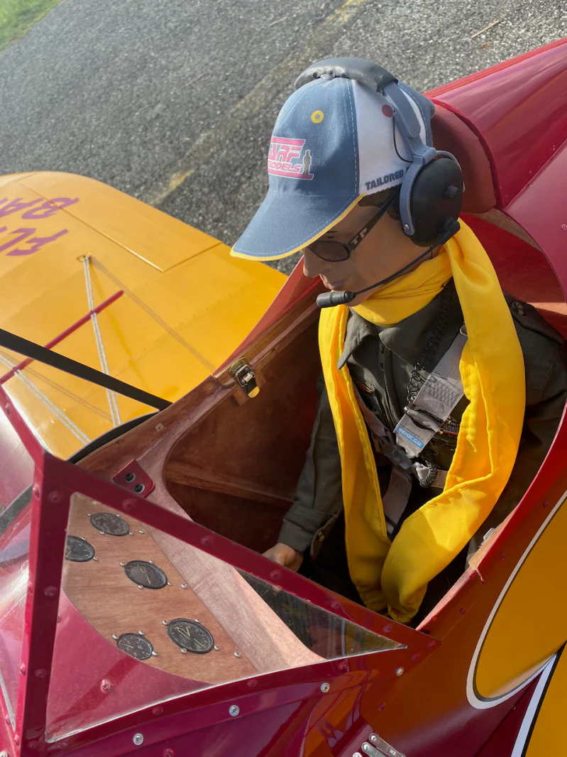 CARF Bowers FlyBaby 1:2 701/2/3000 - Image 14