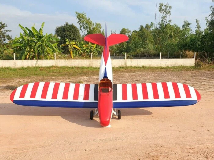 CARF Bowers FlyBaby 1:2 701/2/3000 - Image 29