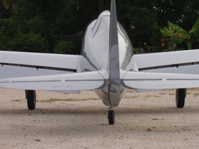 CARF P-47 Razorback 1:4.5 270000 - Image 13