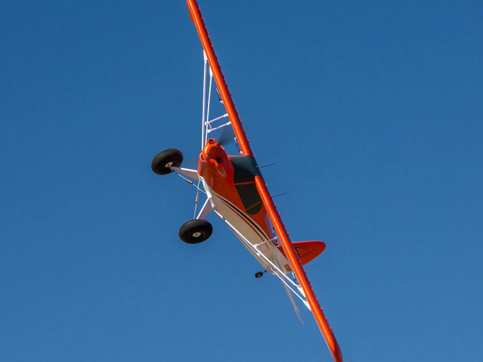 E-Flite Carbon-Z Cub SS 2.1m BNF Basic with AS3X and SAFE EFL124500 - Image 11