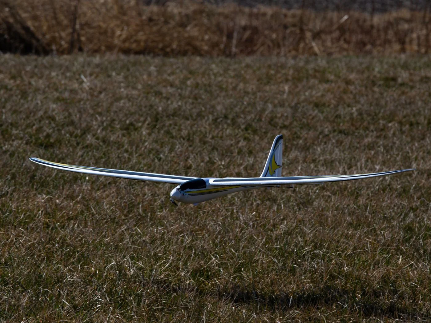 E-Flite Conscendo Evolution 1.5m PNP EFL01675 - Image 6