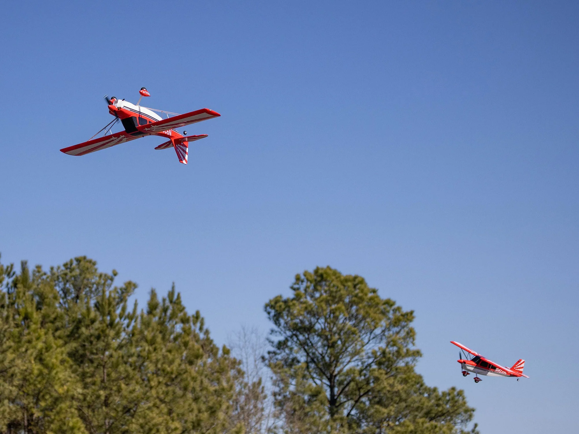 E-Flite Super Decathlon 1.2m BNF Basic with AS3X+ and SAFE Select EFL20550 - Image 24