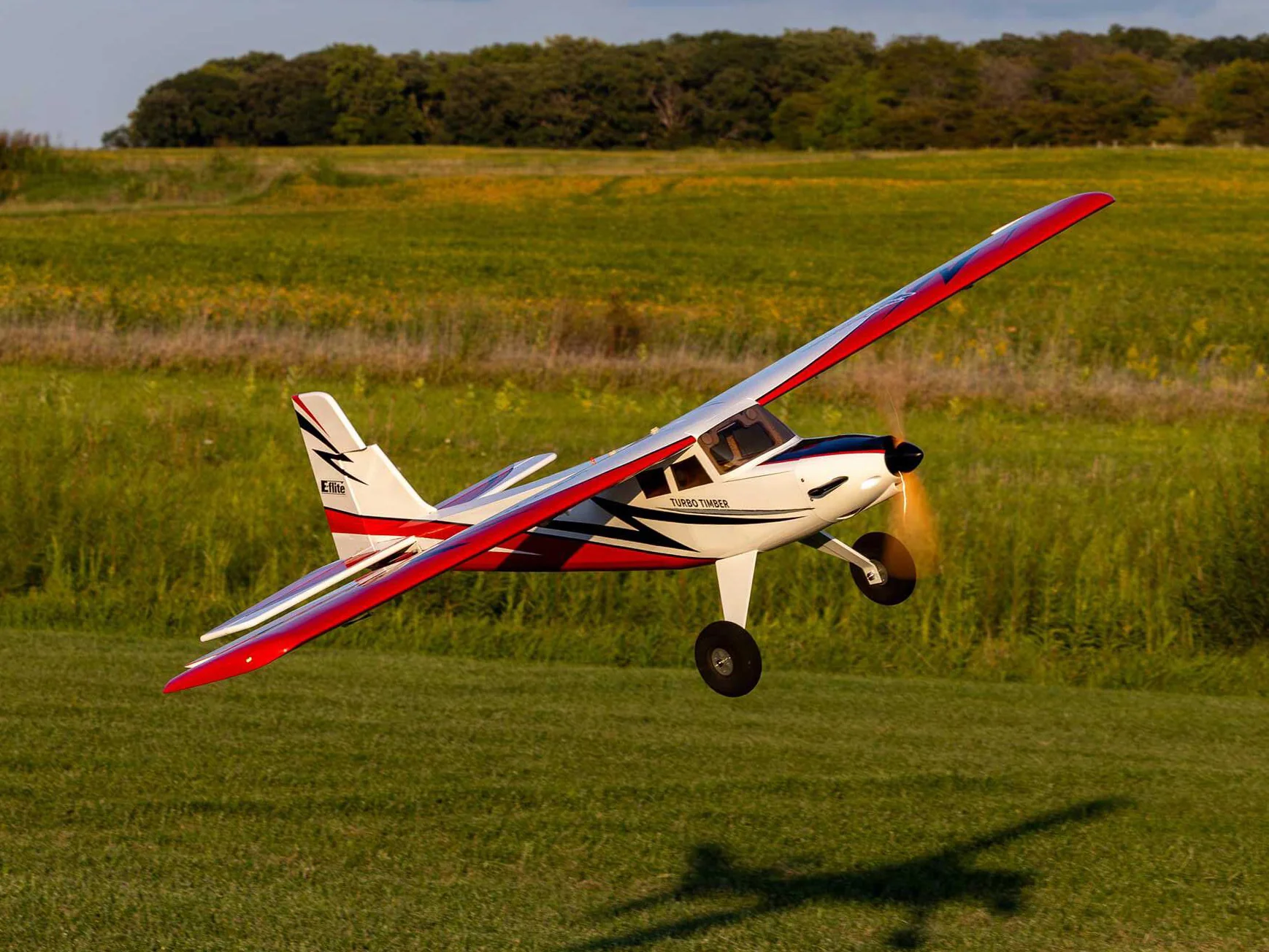 E-Flite Turbo Timber SWS 2.0m ARF EFL71765 - Image 19