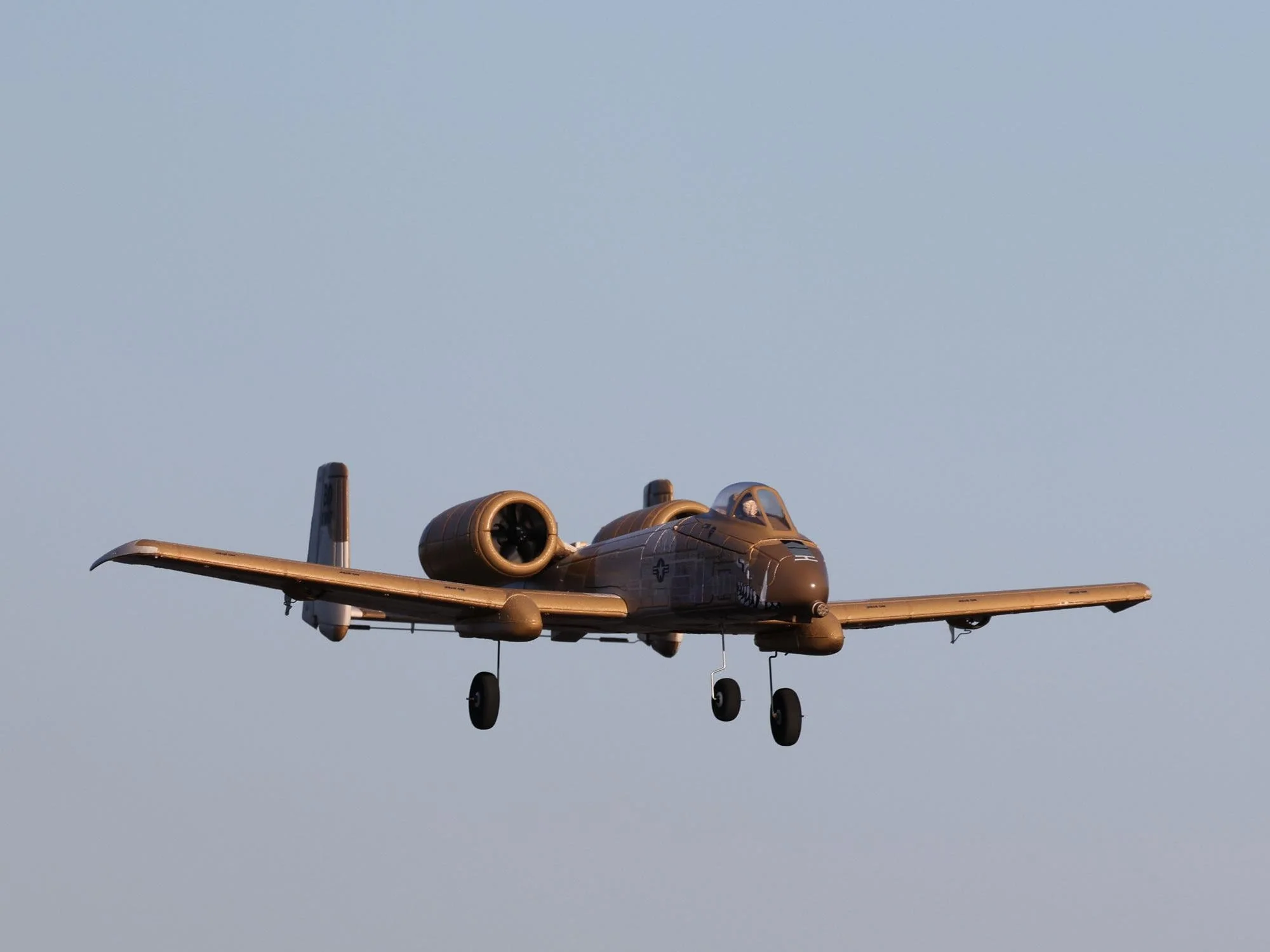 E-Flite UMX A10 Thunderbolt II 30mm EDF BNF Basic with AS3X and SAFE Select EFLU6550 - Image 3