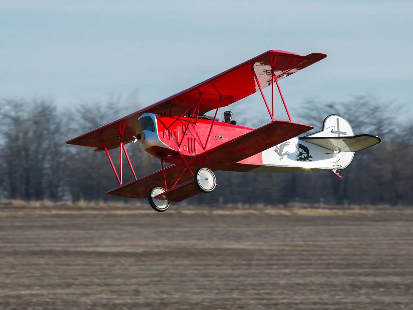 Hangar 9 Fokker D VII 30-60cc HAN2890 - Image 6