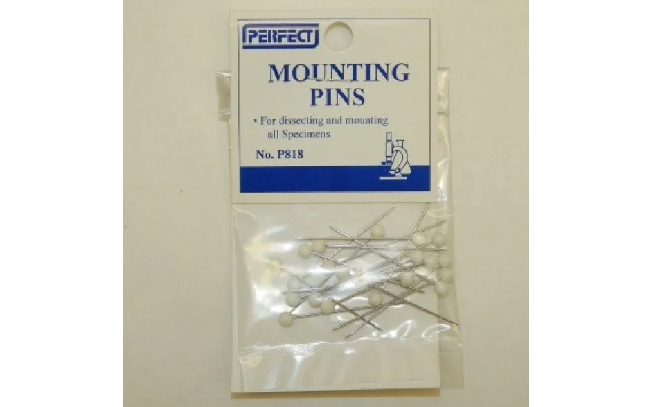 Modelling Pins from Perfect Mounting Pins (20pcs) P818