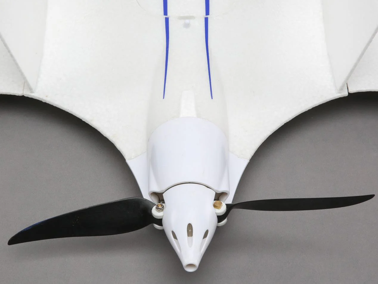 Opterra 2m Wing BNF Basic with AS3X and SAFE Select from E-Flight EFL111500 - Image 16