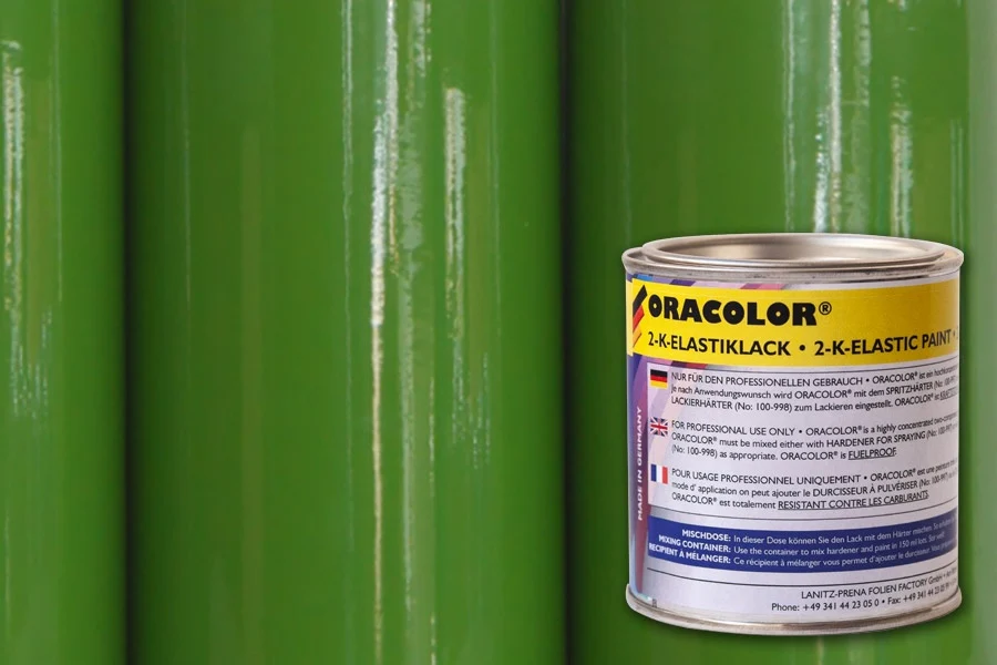 ORACOLOR for ORACOVER 2-K-Elastic Varnish May Green Paint (100ml) from Oracover 121-043