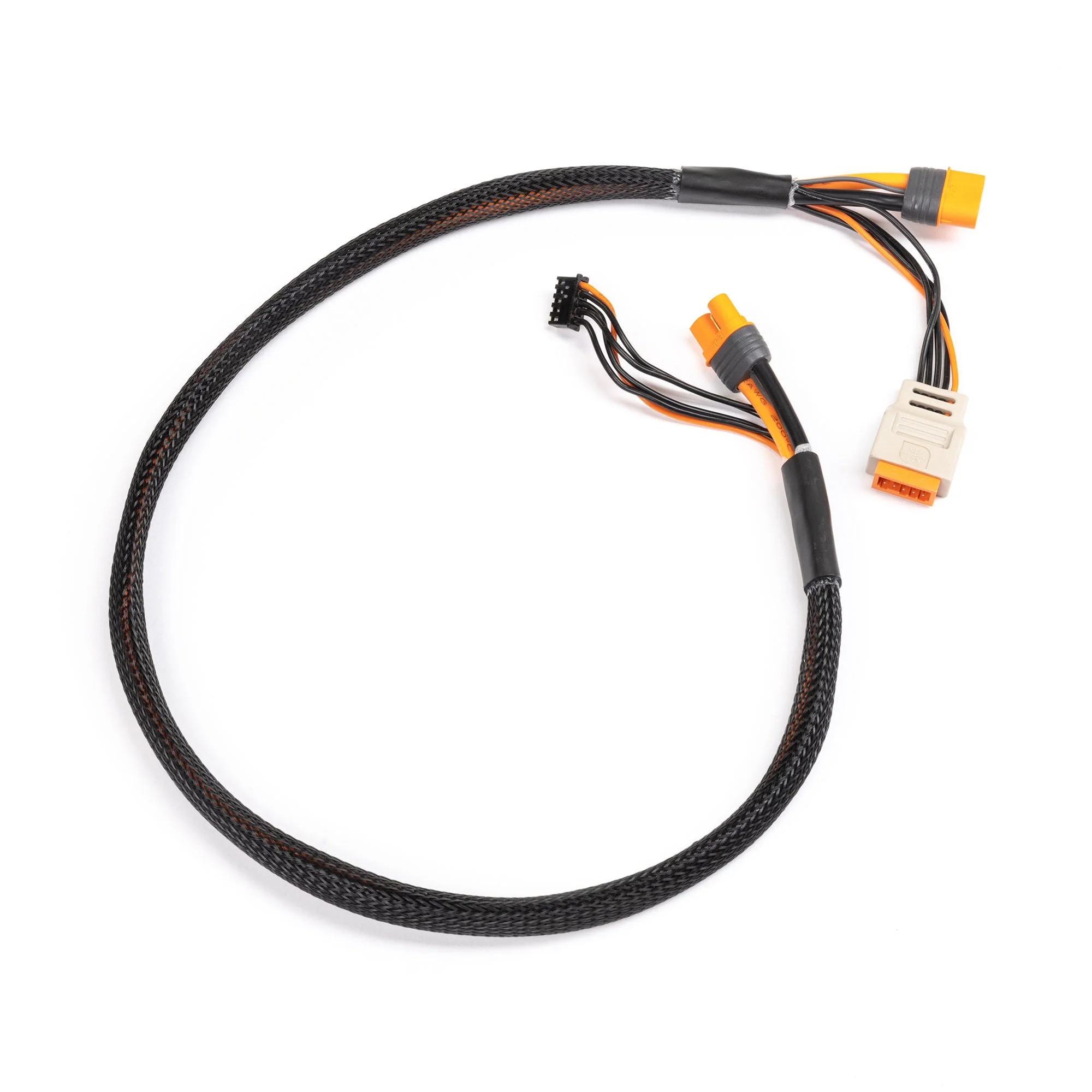 Spektrum Charge Lead with Balance Extension 24" IC3, 2-6S SPMX-1011 - Image 2