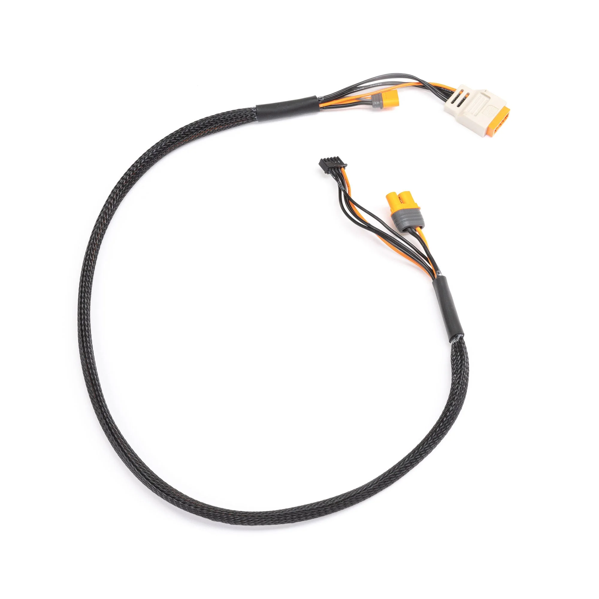 Spektrum Charge Lead with Balance Extension 24" IC5, 2-6S SPMX-1012 - Image 2